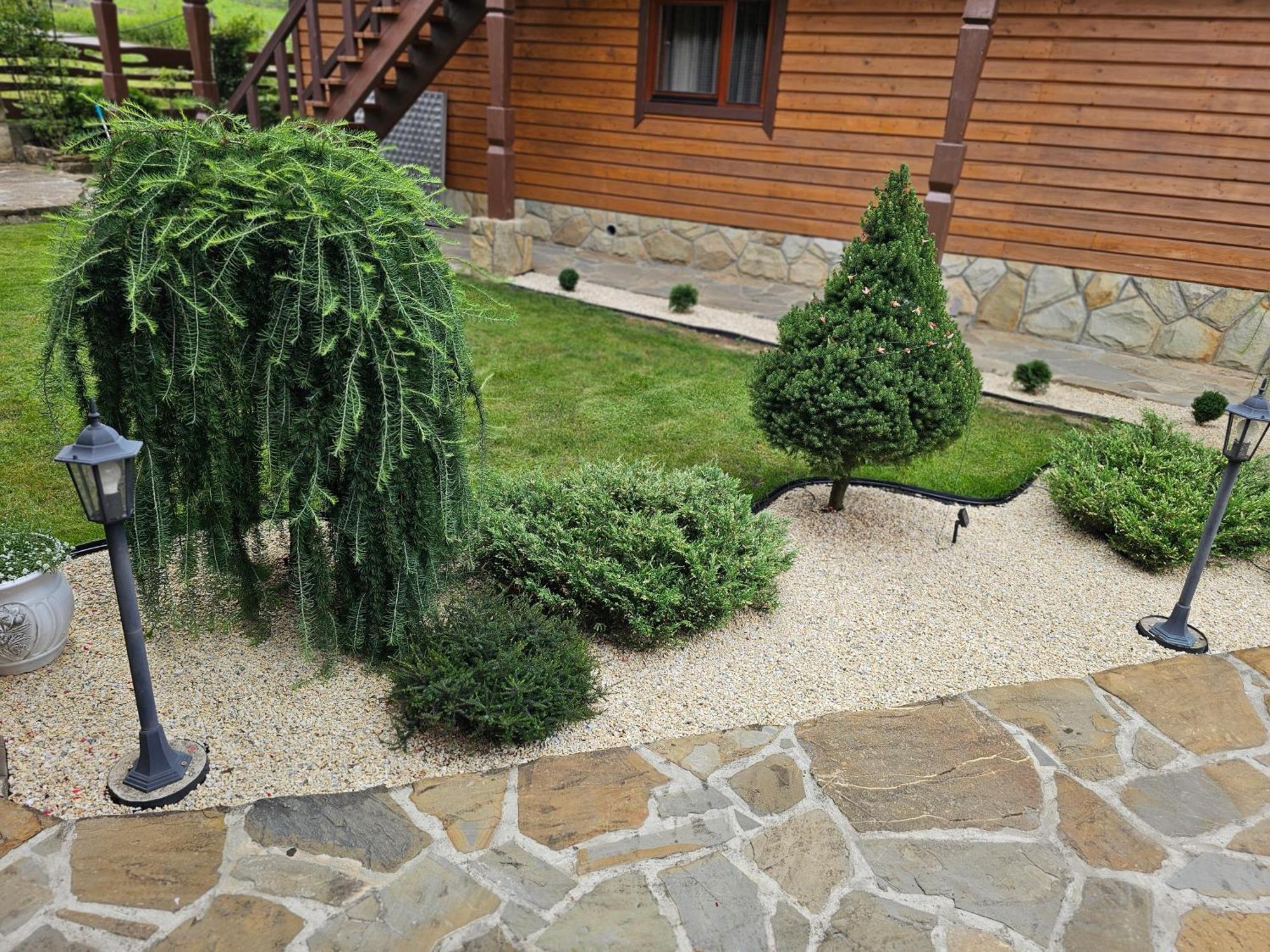 טטאריב Guesthouse Kolo Druziv מראה חיצוני תמונה