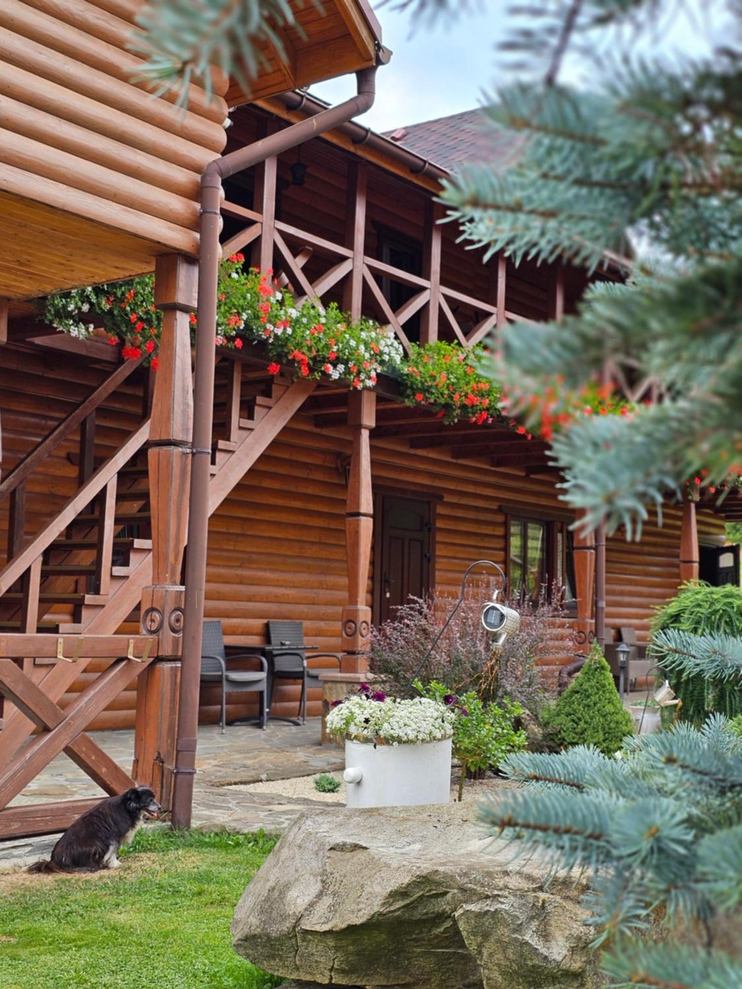 טטאריב Guesthouse Kolo Druziv מראה חיצוני תמונה